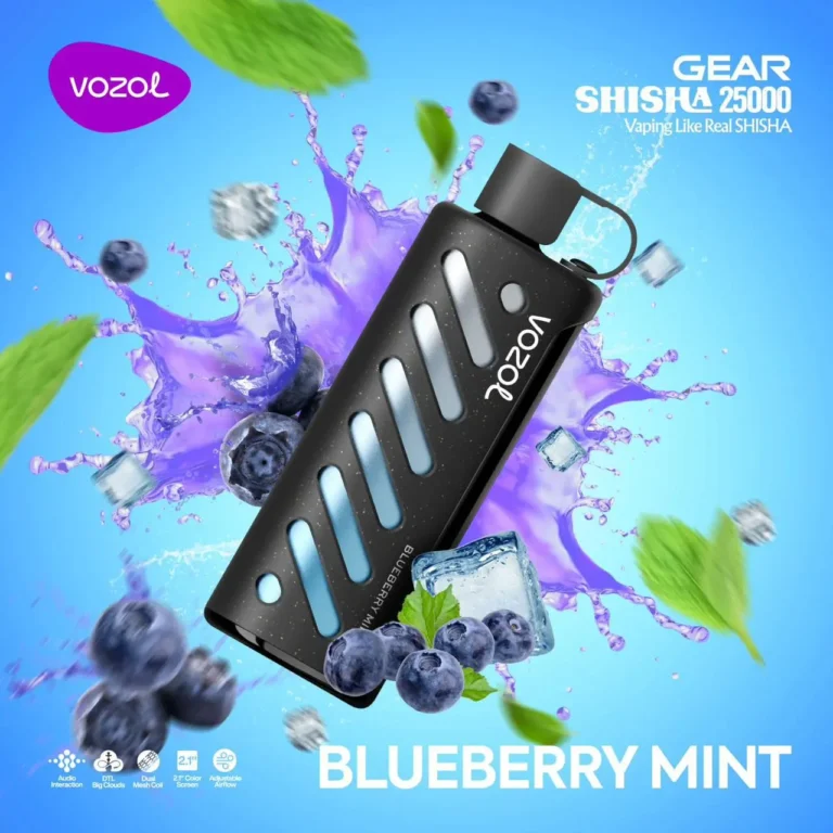Vozol Gear 25000 BLUBERRY MİNT | Ferahlatıcı Yaban mersini ve nane Aromalı