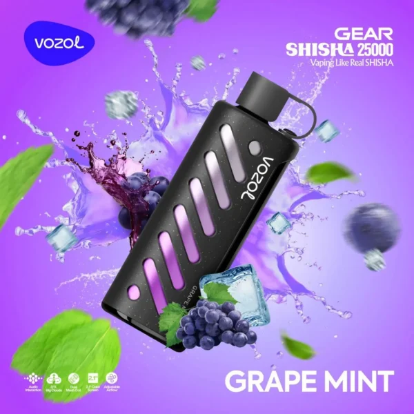 Vozol Gear 25000 Grape Mint (Üzüm Nane)