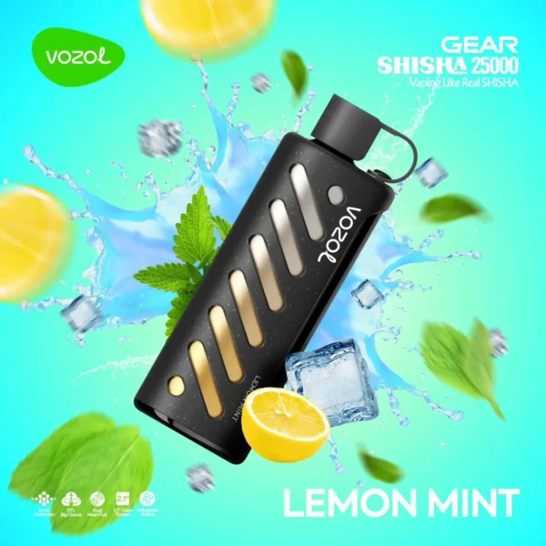 Vozol Gear 25000 Lemon Mint (Limon Nane)